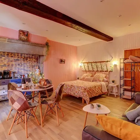 Le Petit Pressoir - Charmant Studio Collonges-en Charollais Exterior photo